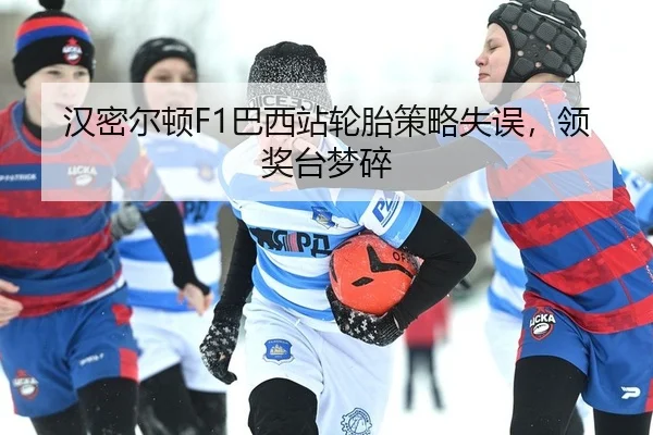 汉密尔顿F1巴西站轮胎策略失误，领奖台梦碎